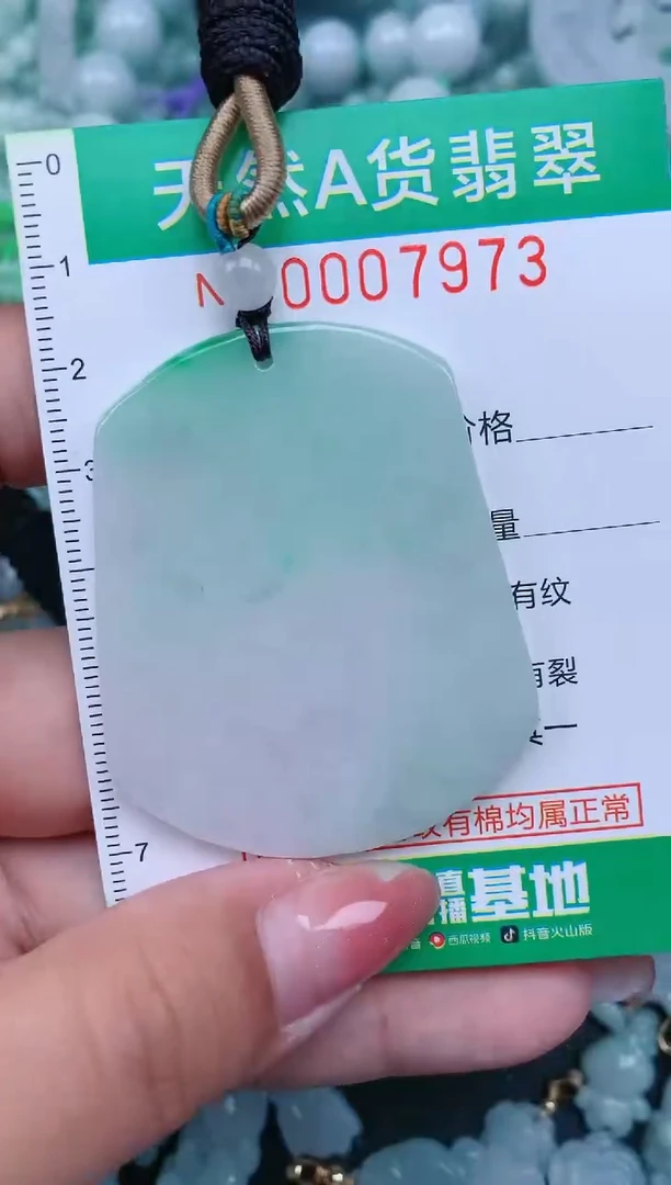 【闪购商品】翡翠颈饰未镶嵌.0007973