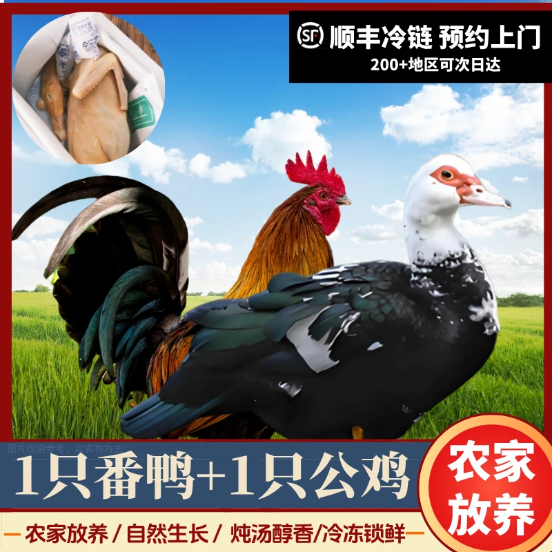 【鸡鸭组合】1只番鸭+1只农家土公鸡 净膛宰杀后8斤 顺丰冷链包邮 包冰率不含冰