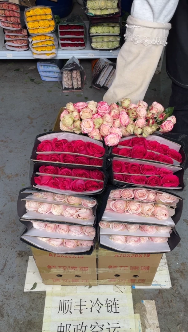 粉红20枝+佛洛依德20枝+折射10枝