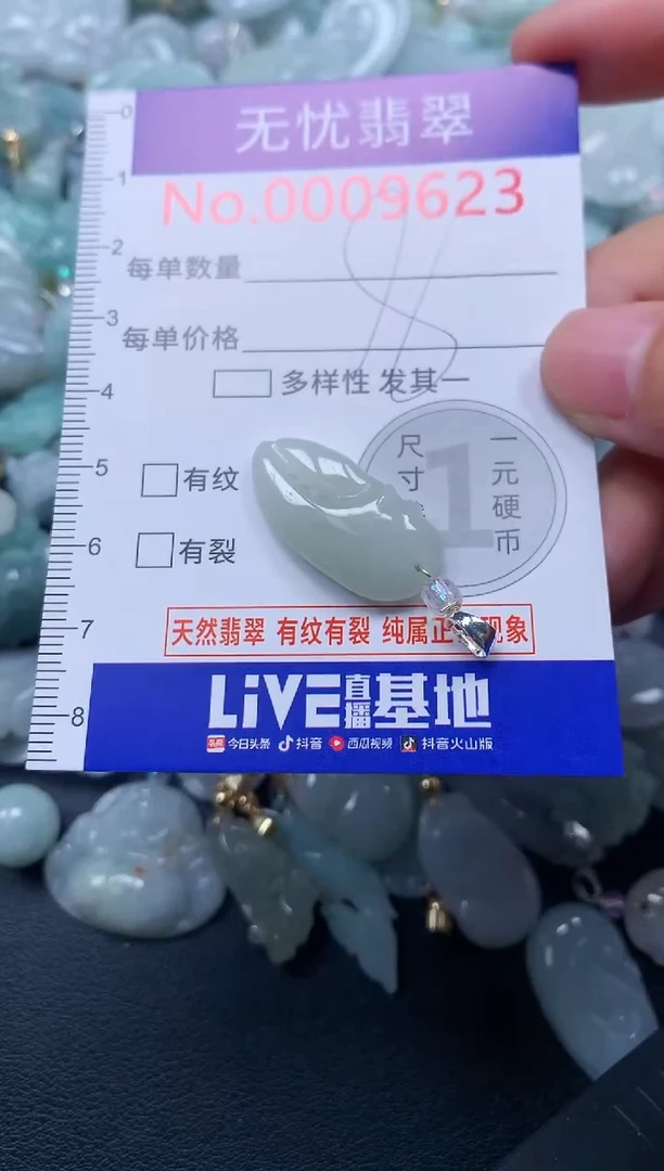 颈饰未镶嵌翡翠9623