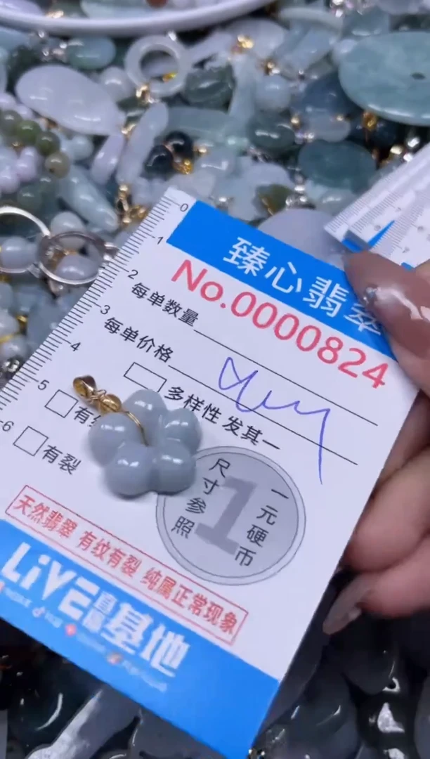 颈饰未镶嵌翡翠824