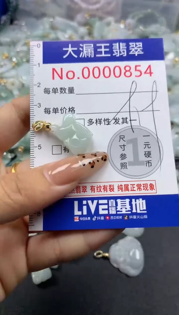 翡翠未镶嵌吊坠(不含链)854