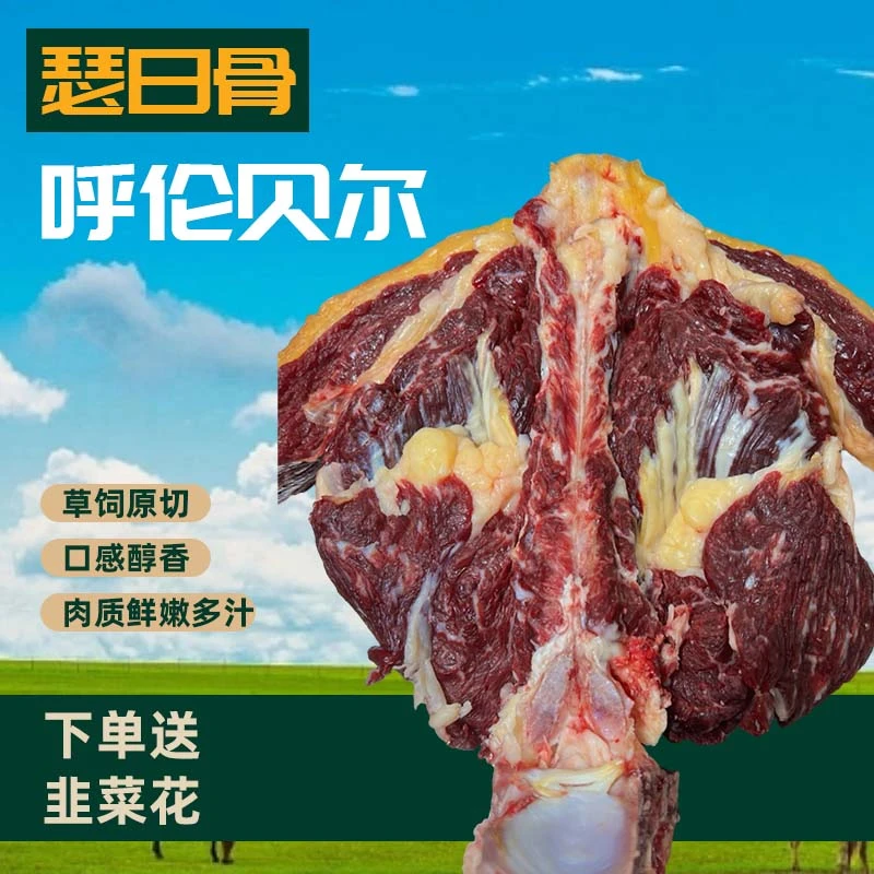 【呼伦贝尔南屯黄膘牛瑟日骨手把手】天然散养牛 瑟日骨 直播间称重