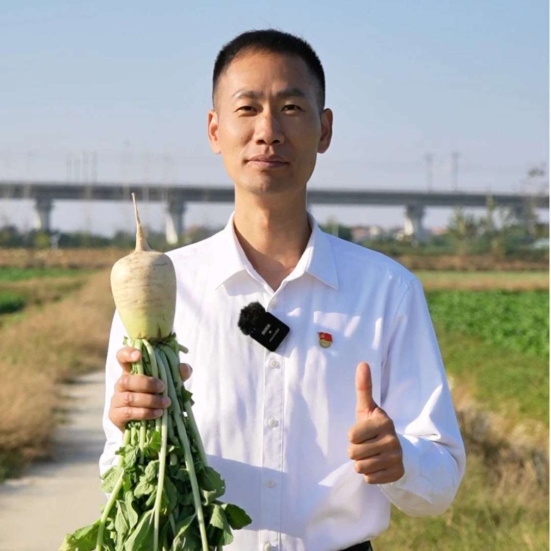 黄州萝卜 鲜萝卜 露天种植 国家地理标志产品 5斤装