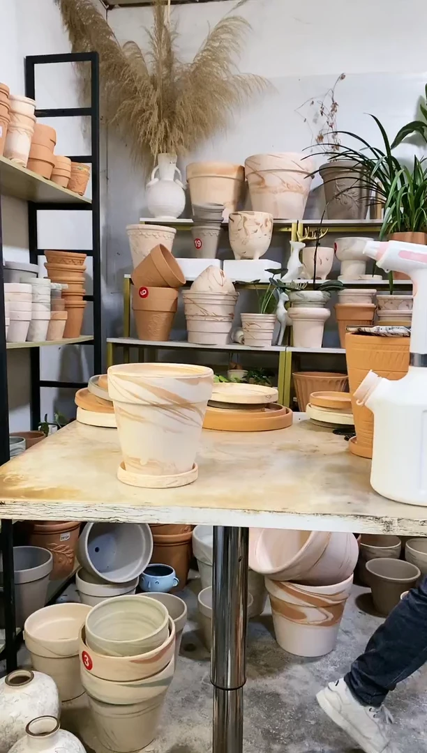 13*13玛奇朵 1盆1托