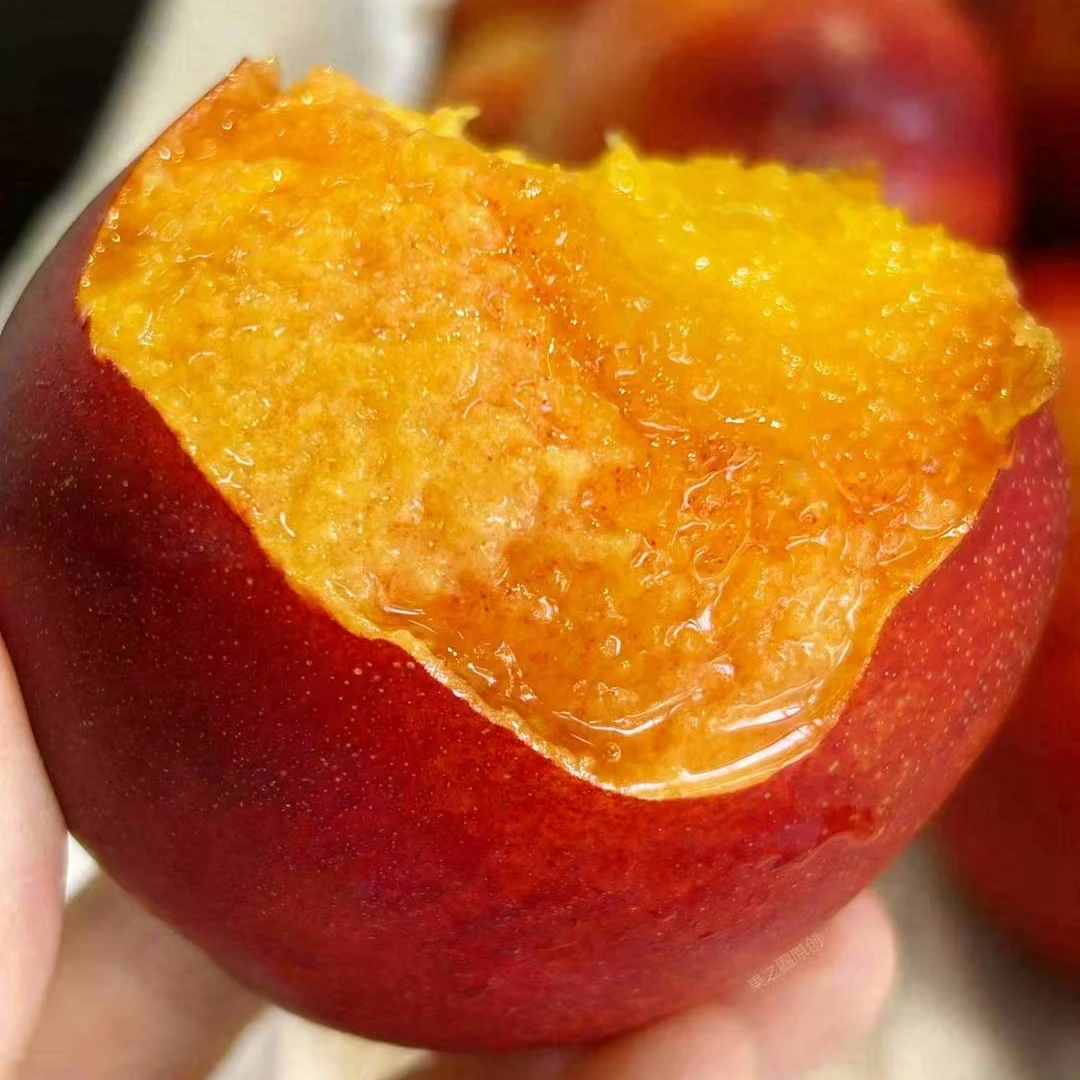 【同城配送】脆甜 红肉 油桃/斤山东省