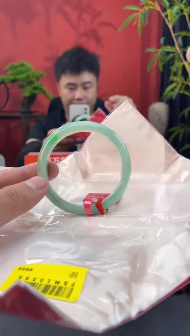 未镶嵌手镯翡翠9