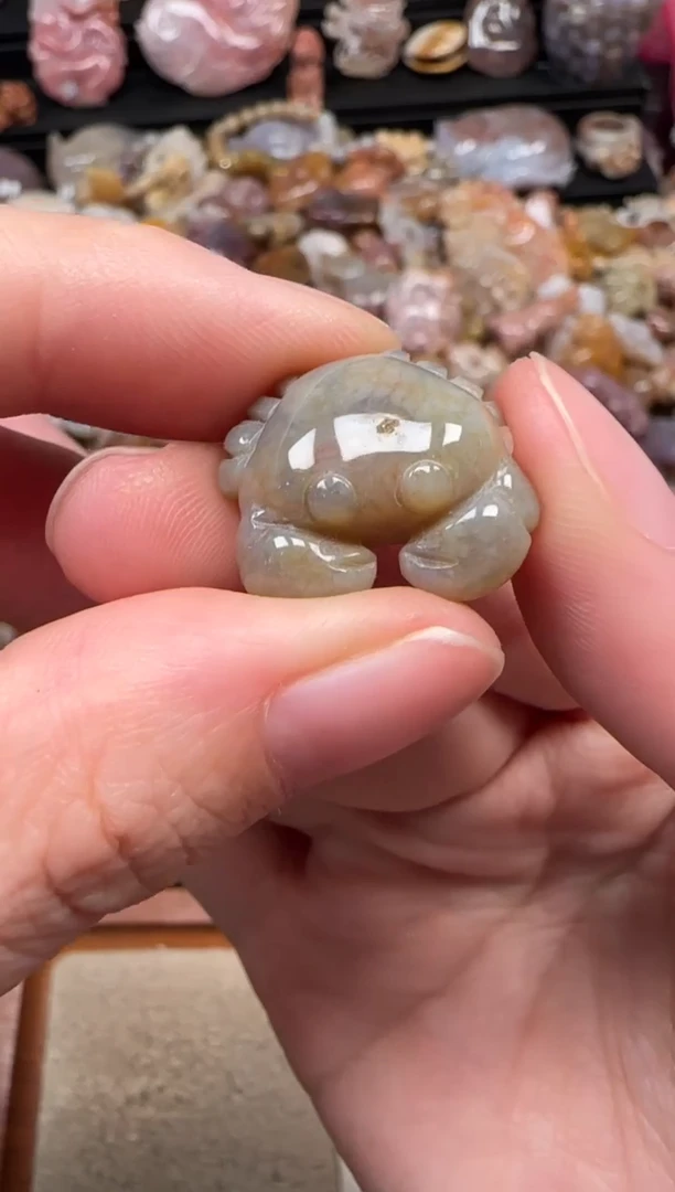 颈饰未镶嵌硅化珊瑚（珊瑚玉）772