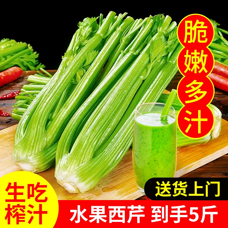 【可生吃榨汁】新鲜露天水果西芹 现挖现发 可榨汁生吃做菜送货上门