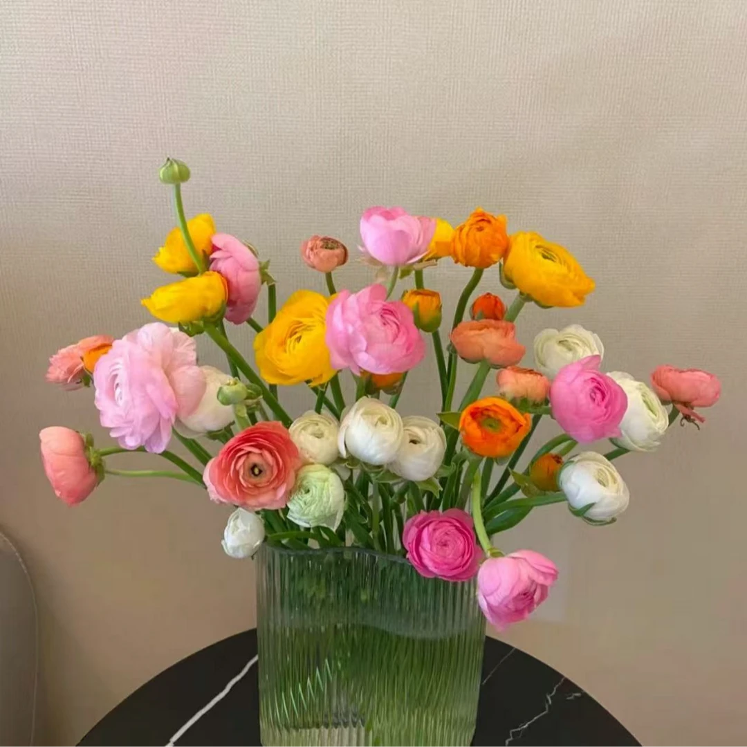 【品味花卉】洋牡丹鲜花（零度以下需拍保温棉）