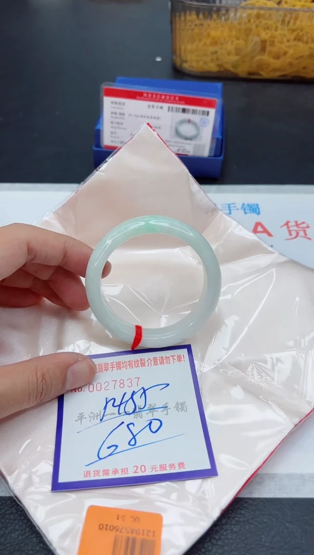 未镶嵌手镯翡翠1