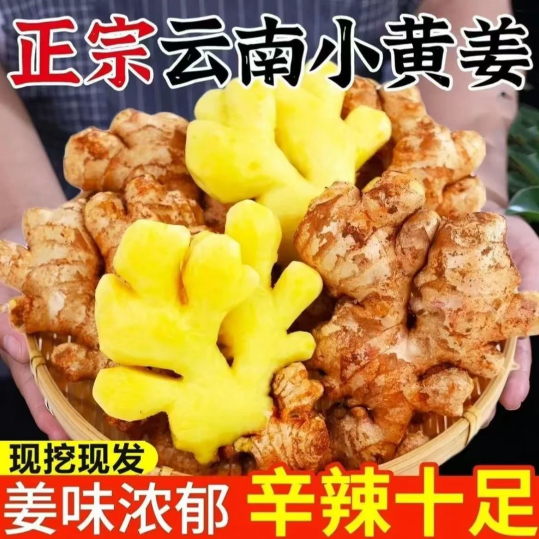 正宗云南高山小黄姜新鲜现挖带泥发货味浓辛辣产地直发