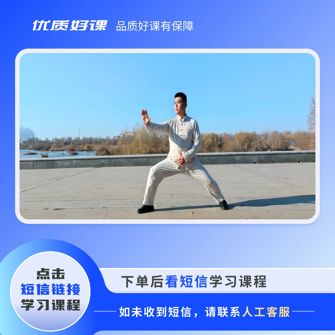 套路十三式动作拆解
