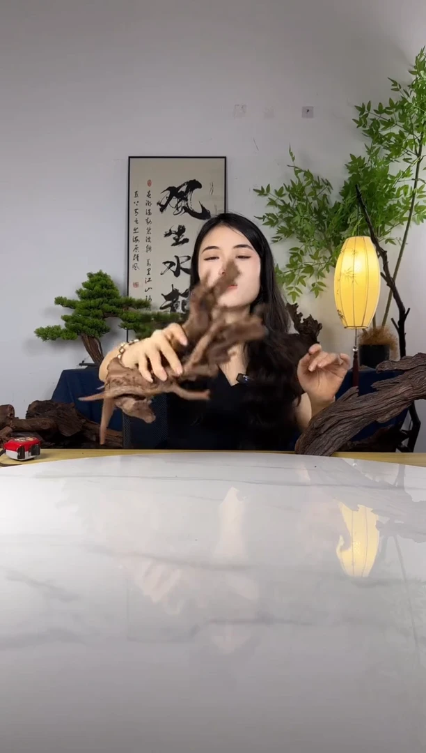 观*拍这个定向编号53