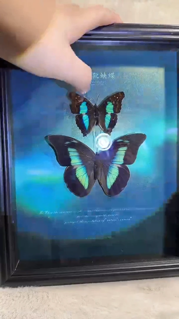 有机玻璃蓝带古靴