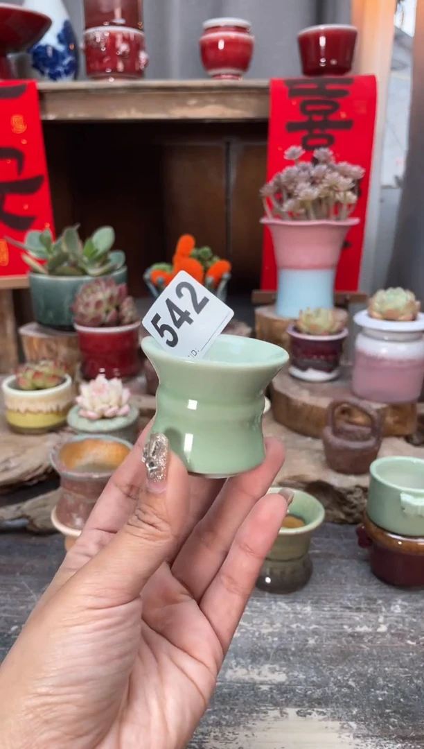 【闪购商品】摆件542知木小芳花盆