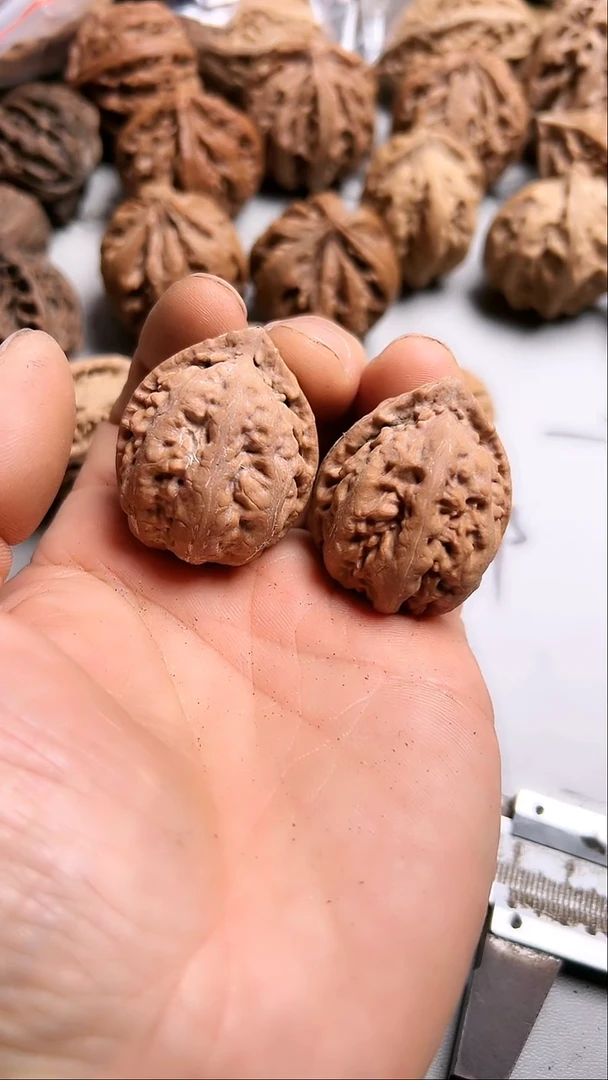 核桃东北野生大秋子9