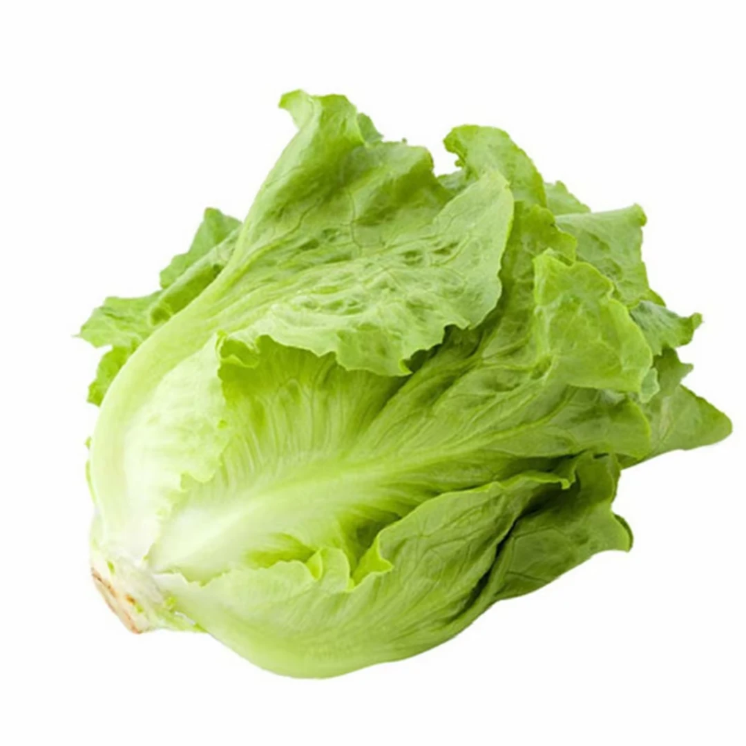 生菜 新鲜配送 400g（两颗）生菜