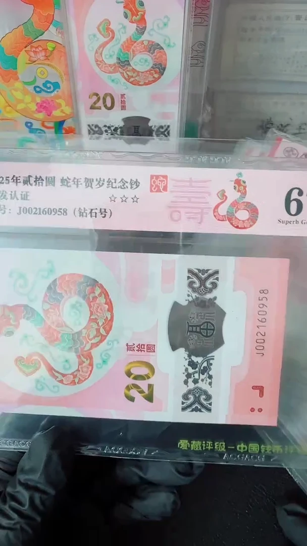 【闪购商品】2025年蛇钞单张J002160958