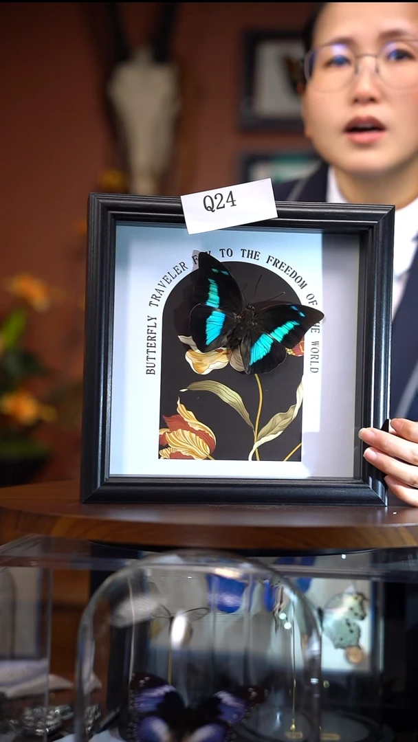 Q24    大古靴蛱蝶      一图一物    拍下不退不换