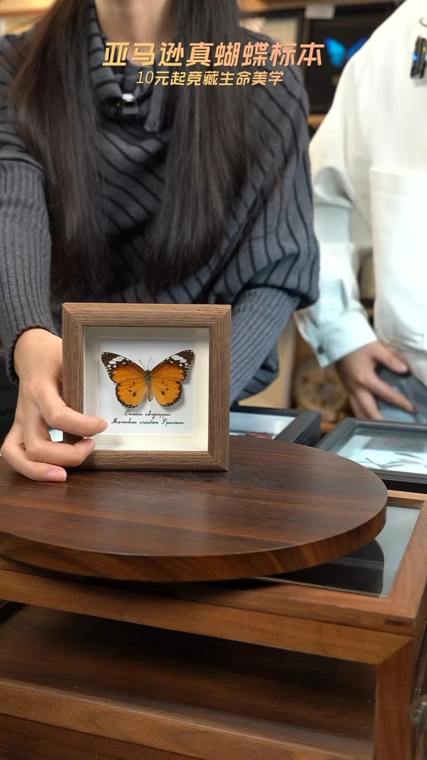 金斑蝶4寸木纹方框