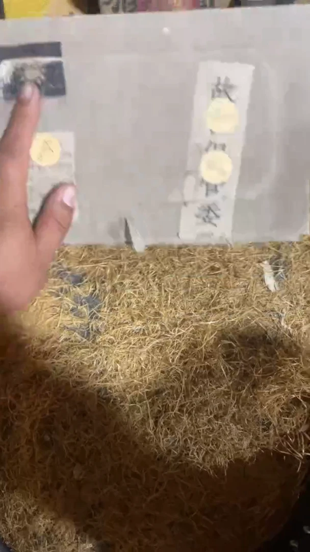 木闪购链接木（佳佳甄选）