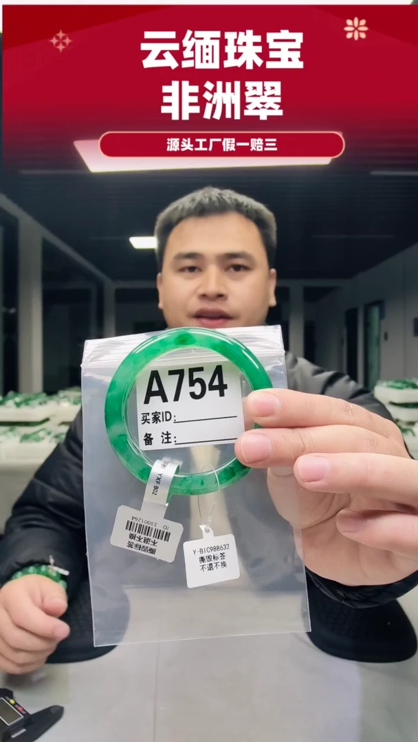 未镶嵌手镯石英质玉（非洲翠）59圈口A754