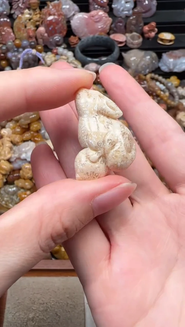 颈饰未镶嵌硅化珊瑚（珊瑚玉）008