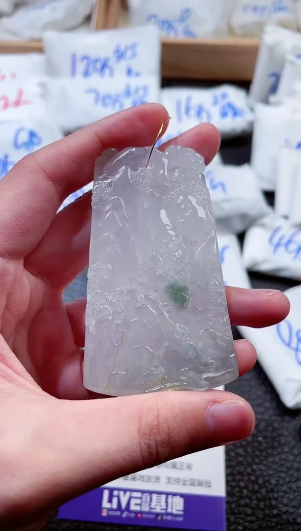 翡翠未镶嵌颈饰00001220