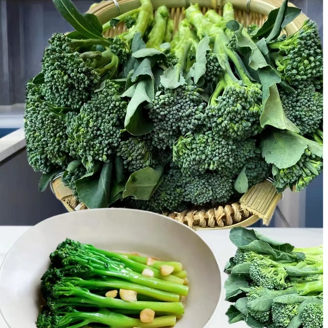 云南新鲜西兰苔当季脆嫩蔬菜新鲜采摘小西兰花