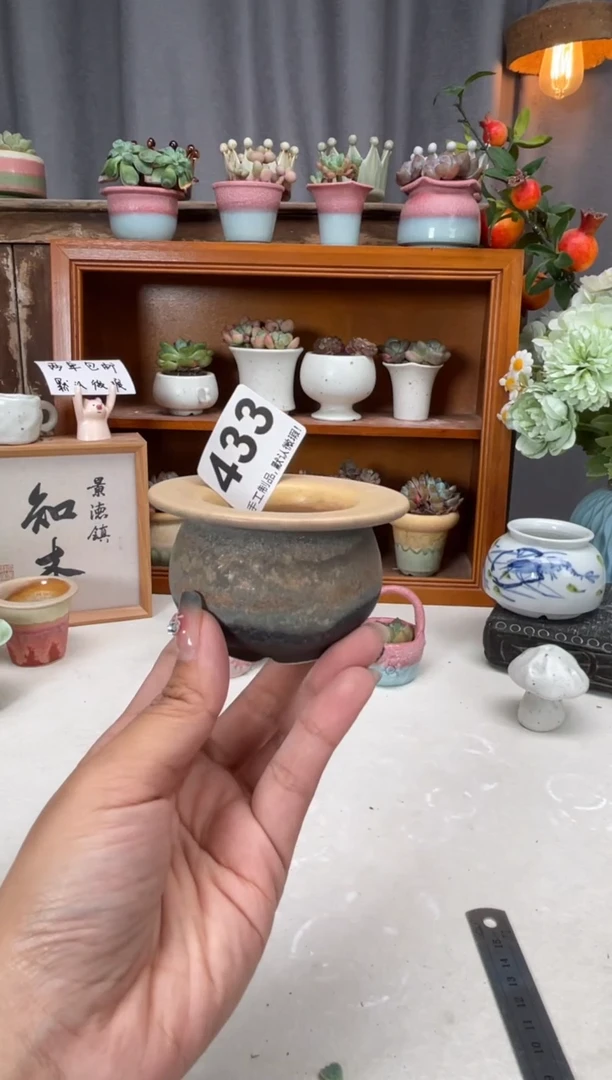 瓷片433小芳直播编号