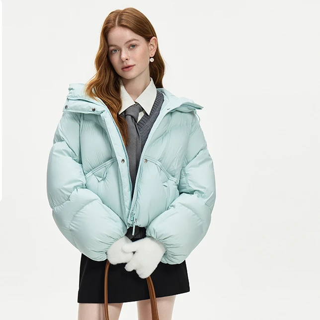 范思蓝恩高级感时尚冬季高光云朵系列短款连帽羽绒服24FS14111