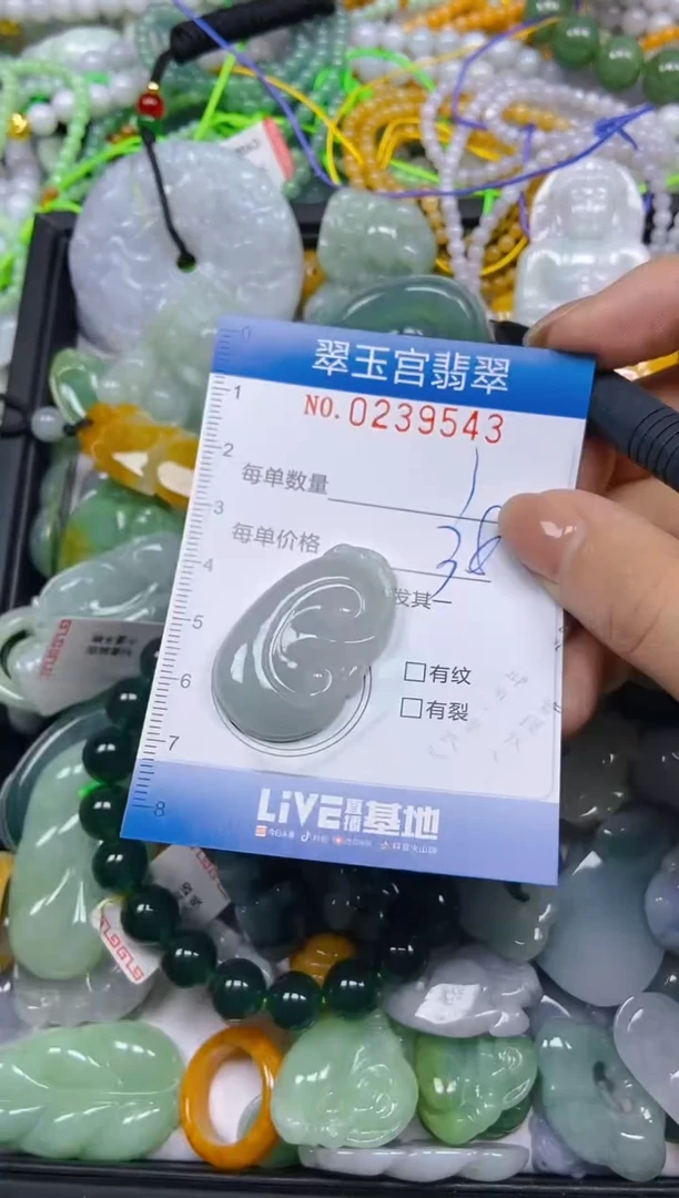 颈饰未镶嵌翡翠闪购C0239543