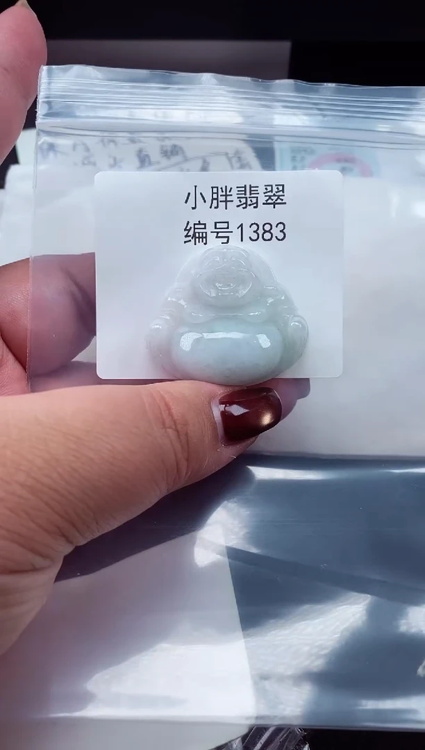 颈饰未镶嵌翡翠缅甸天然A货翡翠1383