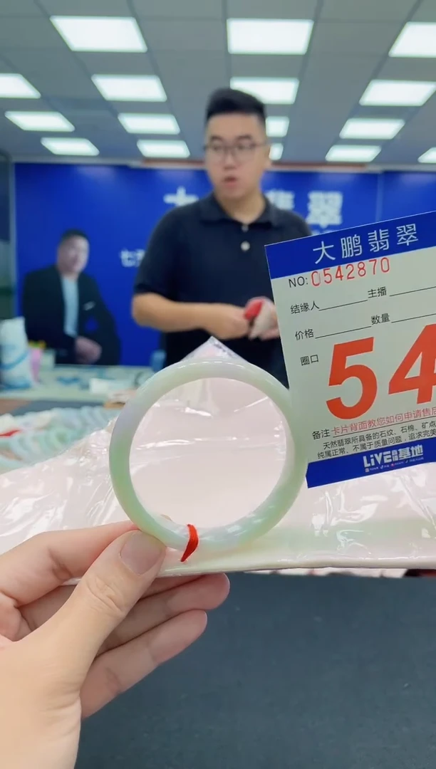 未镶嵌手镯翡翠AAAAAAAAA