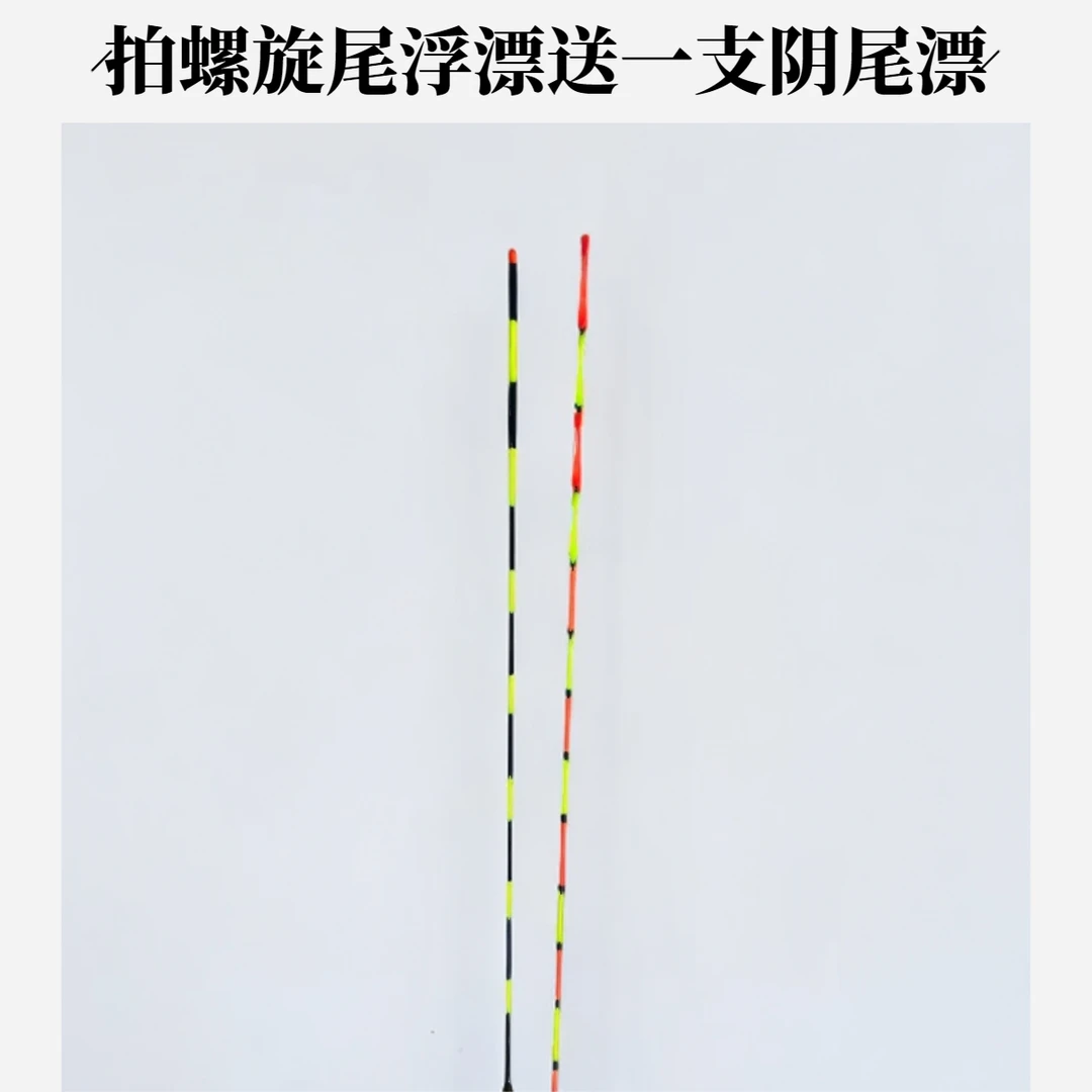 【晋校长福利】新款螺旋尾福利送阴天