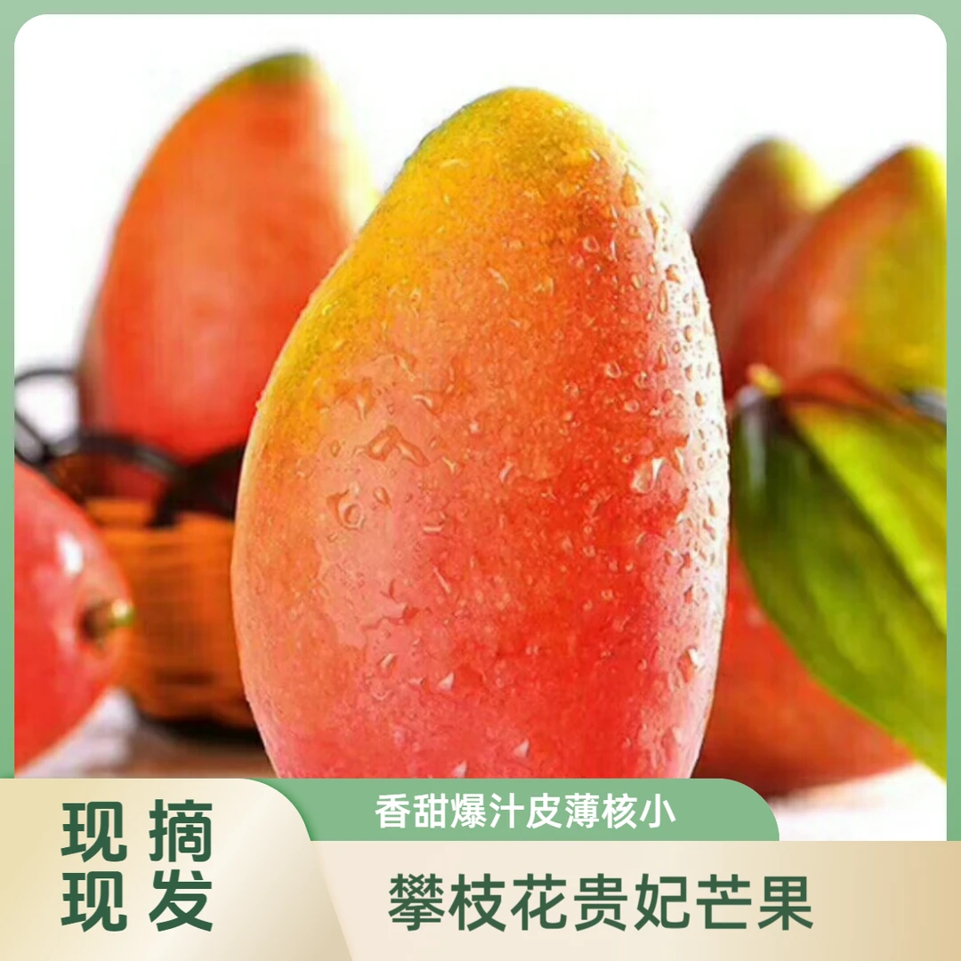 正宗攀枝花金沙江贵妃芒果现摘现发香甜爆汁应季新鲜水果整箱包邮