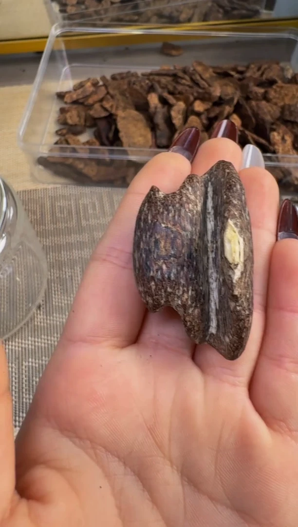 【闪购商品】沉香吊坠瓜子瓜子瓜子