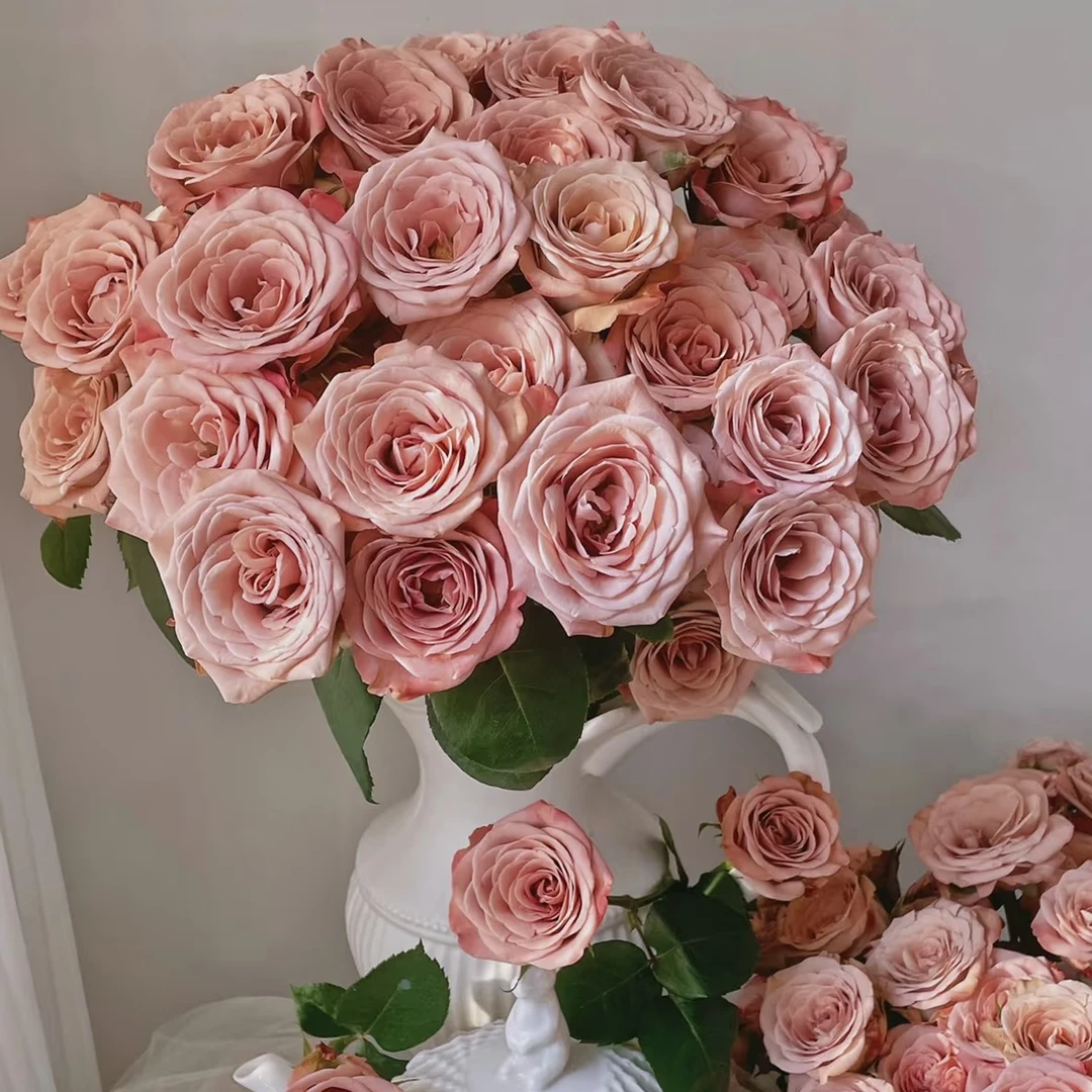 A级卡布奇诺玫瑰一单顺丰包邮家用鲜花花束云南鲜花昆明鲜花直发