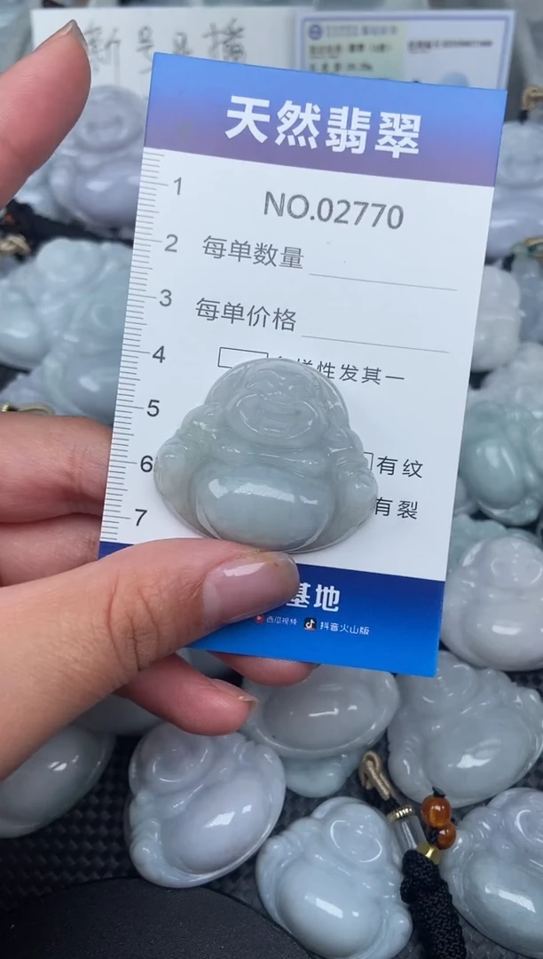 颈饰未镶嵌翡翠纯天然A货翡翠2700