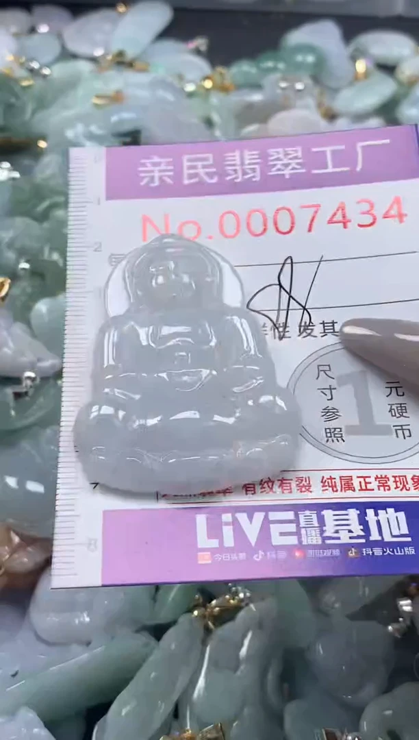 颈饰未镶嵌翡翠7434