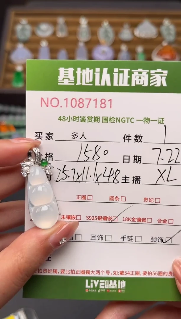 翡翠银S925镶嵌颈饰多人