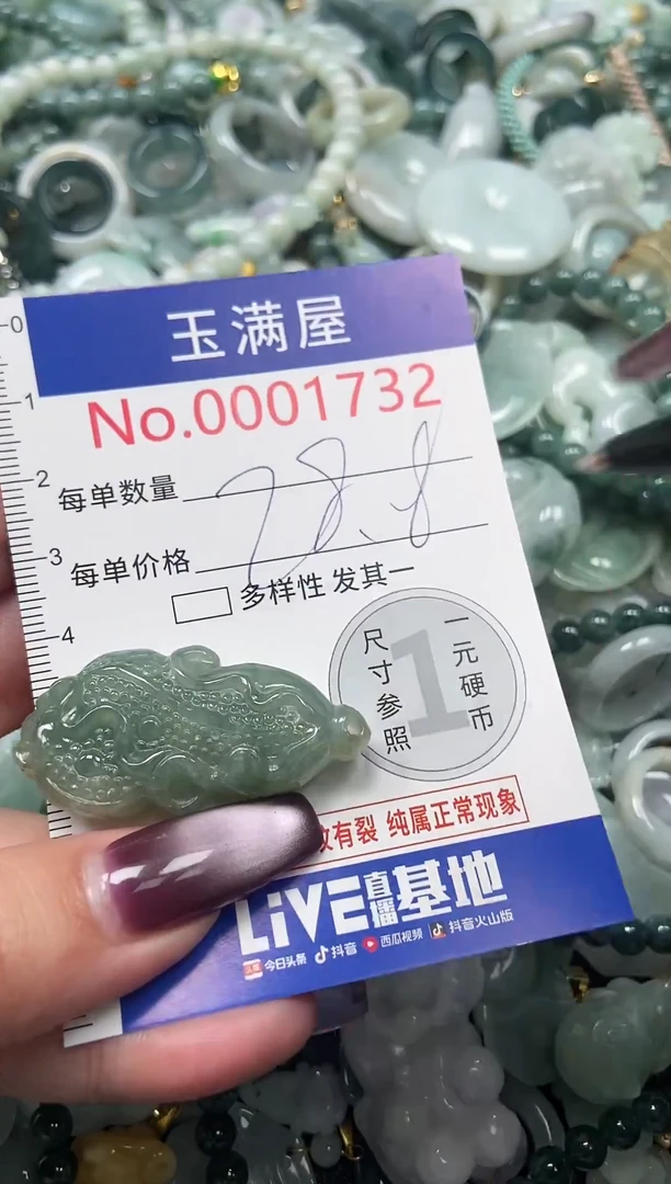 颈饰未镶嵌翡翠1732