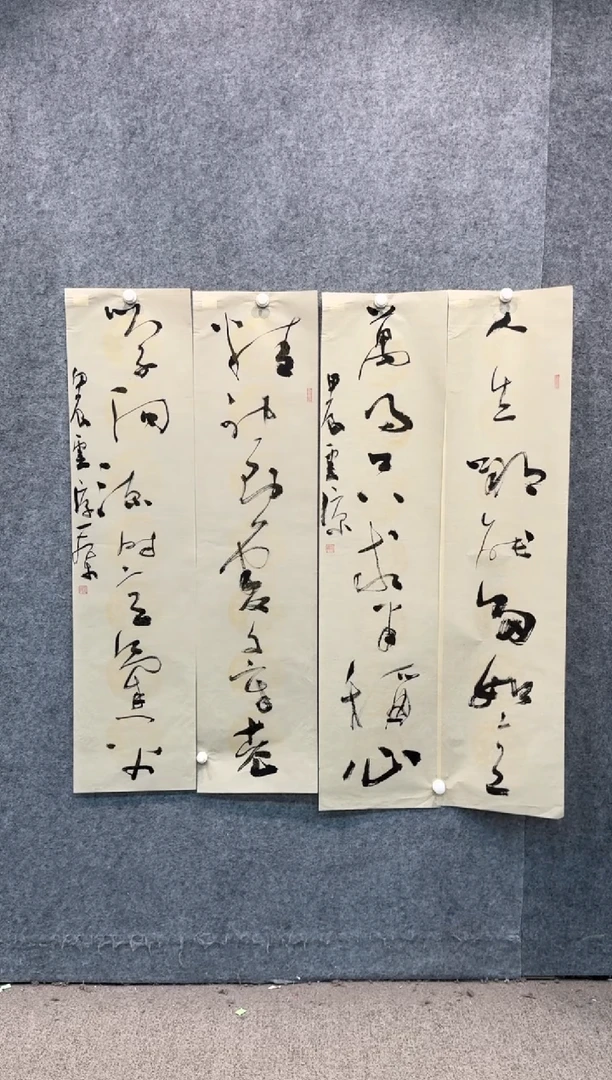 【闪购商品】书法pmw不二轩旗舰店书法DYL28
