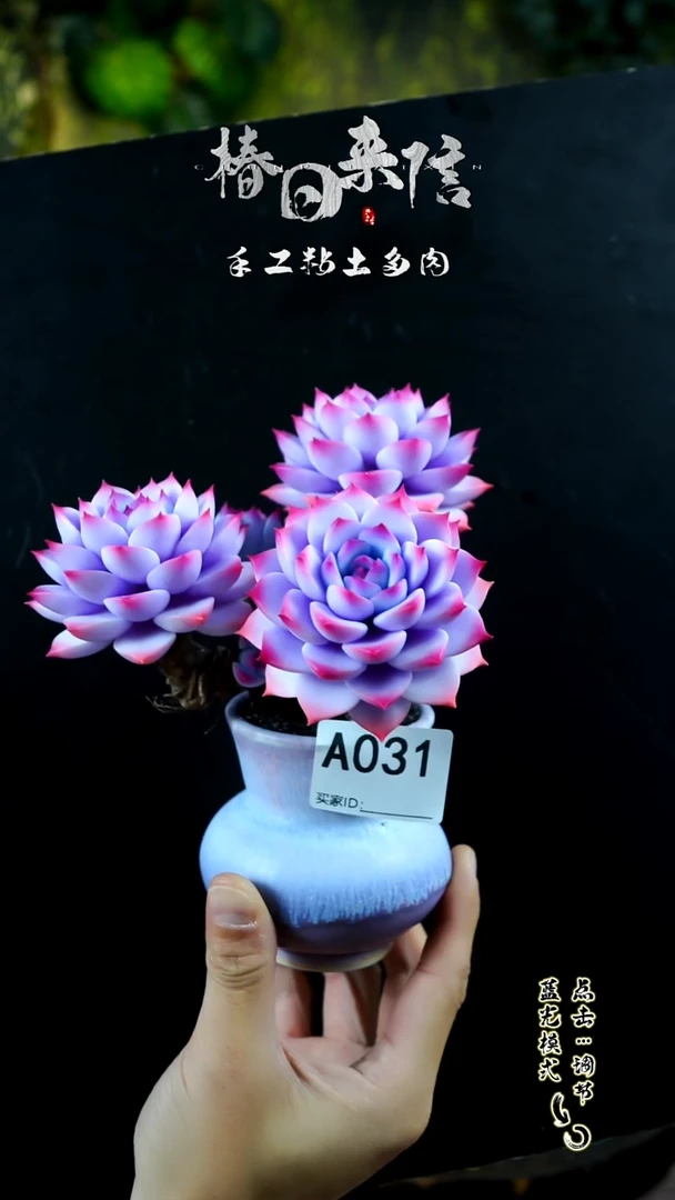 031.。。。。。。。。。。。。。