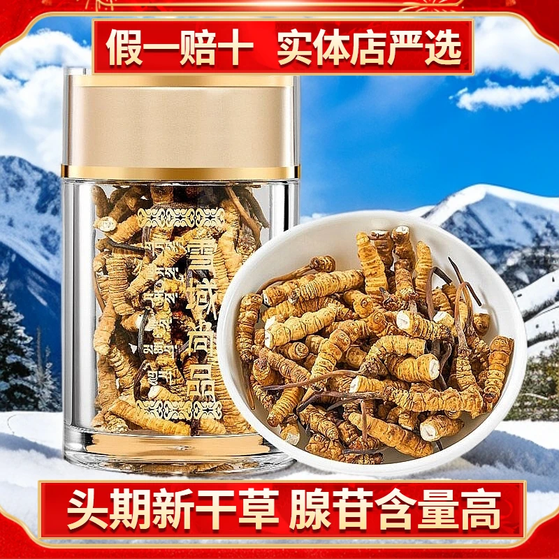 冬虫夏草断草精选大断节虫草自吃实惠头茬滋补