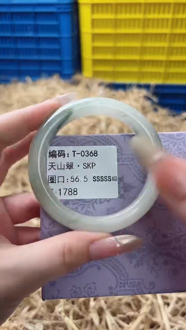 未镶嵌手镯石英质玉T-0368