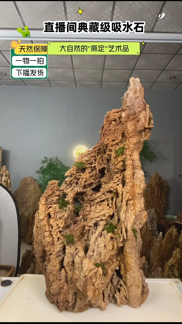 无花朵龙**仔吸水石1111带流水