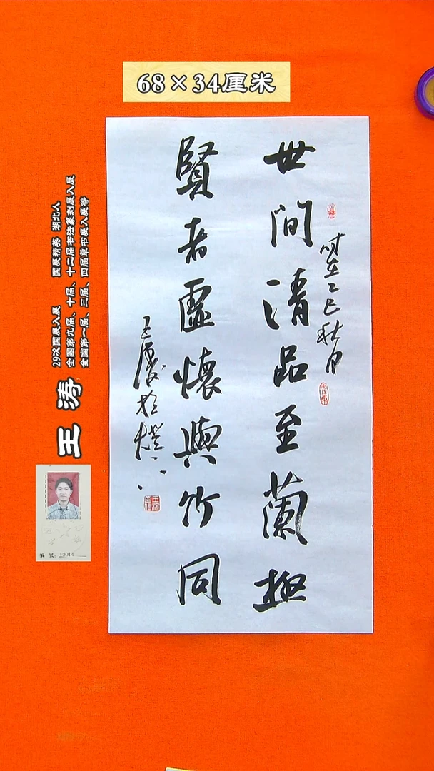 书法92R王涛书法作品