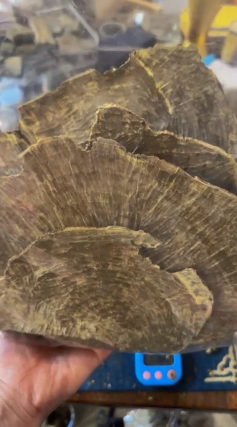 【闪购商品】沉香摆件海南板头块料470克